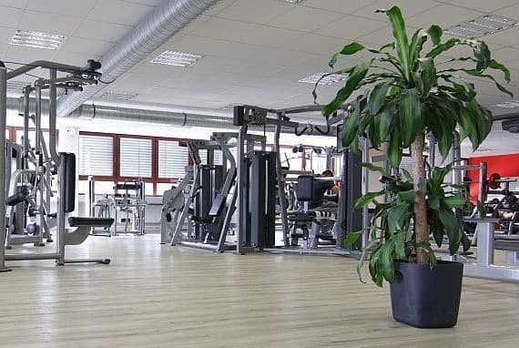 clever fit Kirchheim Teck