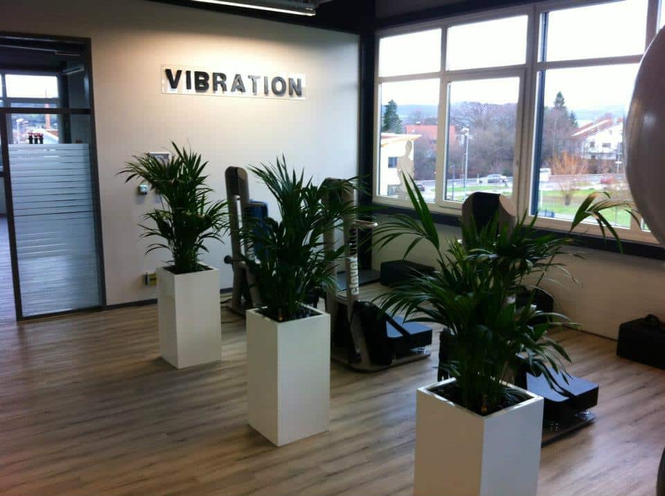 clever fit Metzingen