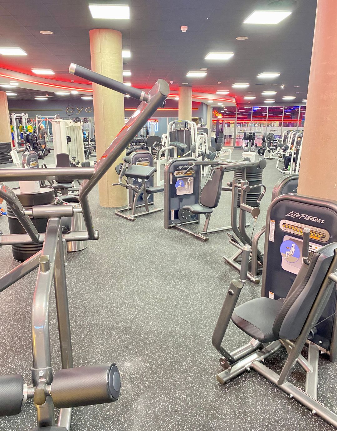 clever fit Fitnessstudio BraunschweigMitte Dein Fitnessstudio in BraunschweigMitte